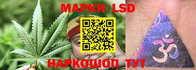 прущие крисы Камышлов