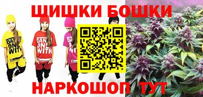 прущие крисы Камышлов