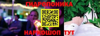 прущие крисы Камышлов